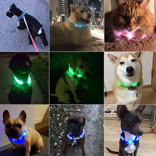 Led Dog Collar Usb Rechargeable Glowing Pet Dog Collar For Night Safety Fashion Light Up Collar For Small Medium Large Dogs Pet Collars & Harnesses