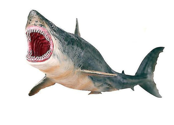 Action Toy Figures Megalodon prehistoric shark model figure toy