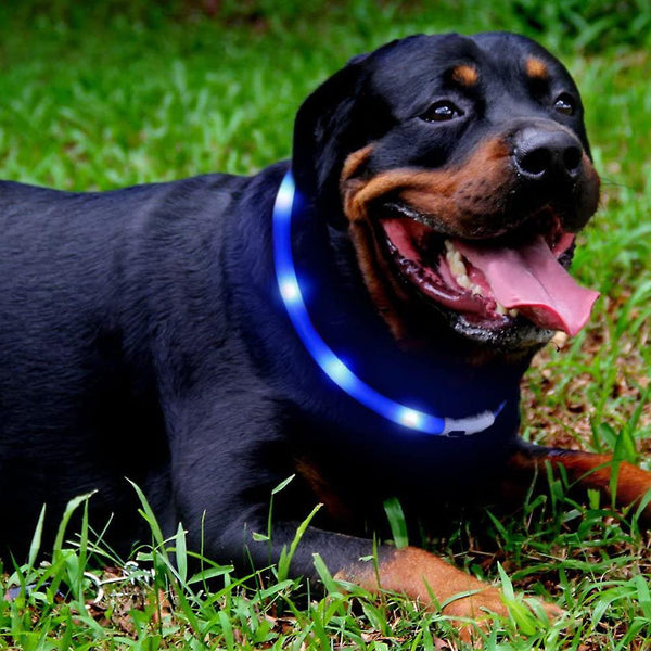 Led Dog Collar Usb Rechargeable Glowing Pet Dog Collar For Night Safety Fashion Light Up Collar For Small Medium Large Dogs Pet Collars & Harnesses