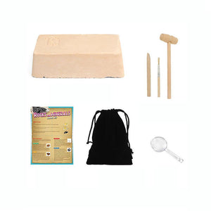 New Gem Excavation Science Kits Education Archeology Biology Birthday Gift ES9771