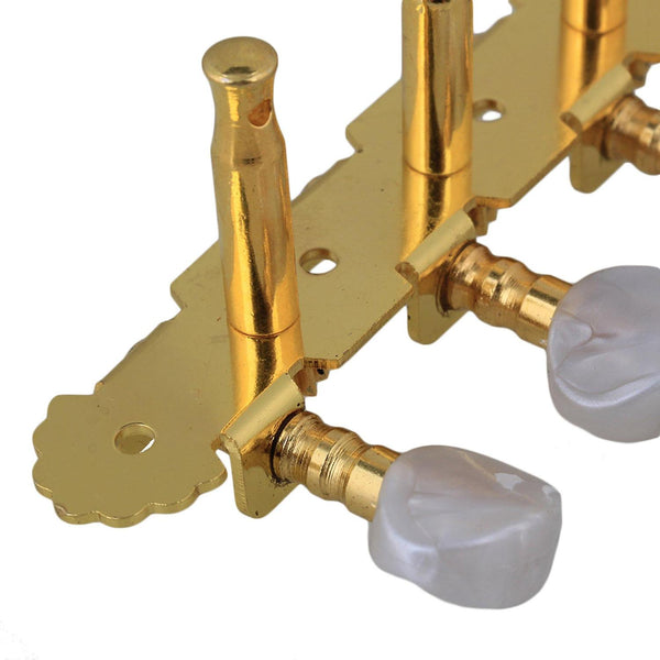 For 2pcs 5R5L Golden Tuning Pegs Keys for Mandolin Guitar 10 String Electric Guitar WS5161