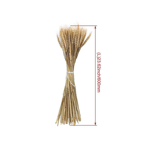 100pcs Natural Wheat Bouquet Dried Plant for Party DIY Home DecorationWS5398