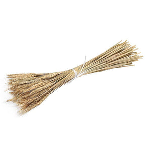 100pcs Natural Wheat Bouquet Dried Plant for Party DIY Home DecorationWS5398