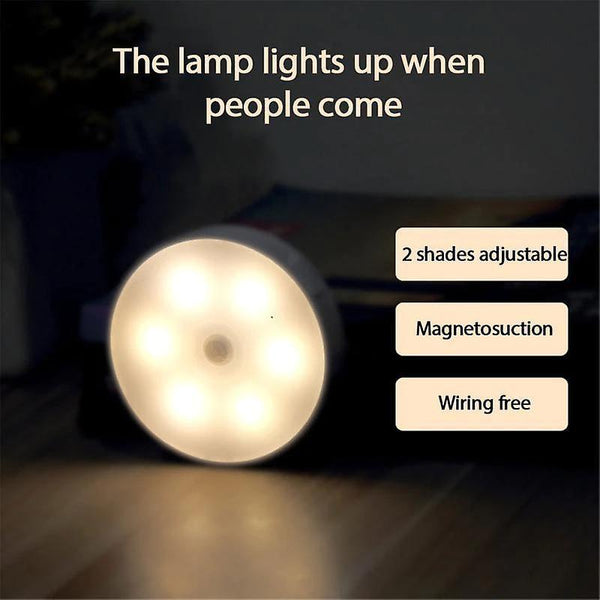 Two color LED Light Motion Sensor Wall LampsWS6227