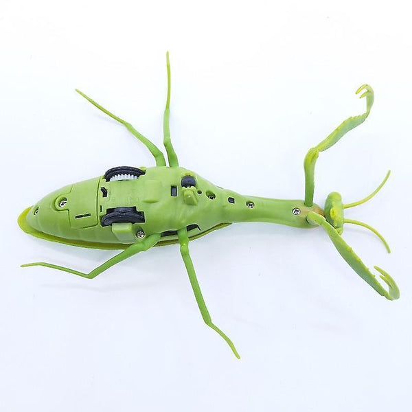 Infrared RC Remote Control insects RC animals mantis Trick Terrifying Mischief Toys|RC AnimalsWS16027