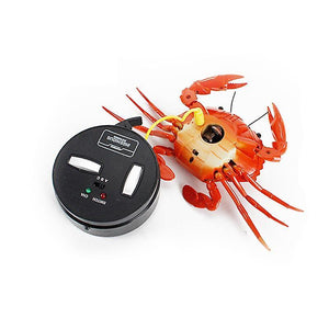 Infrared RC Remote Control crab RC animals Trick Terrifying Mischief Toys |RC AnimalsWS19103