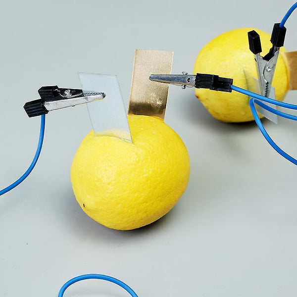 For Fruit Battery Light Diode Science Kit Orange Potato Lemon Battery Physics Teaching Experiment WS33792