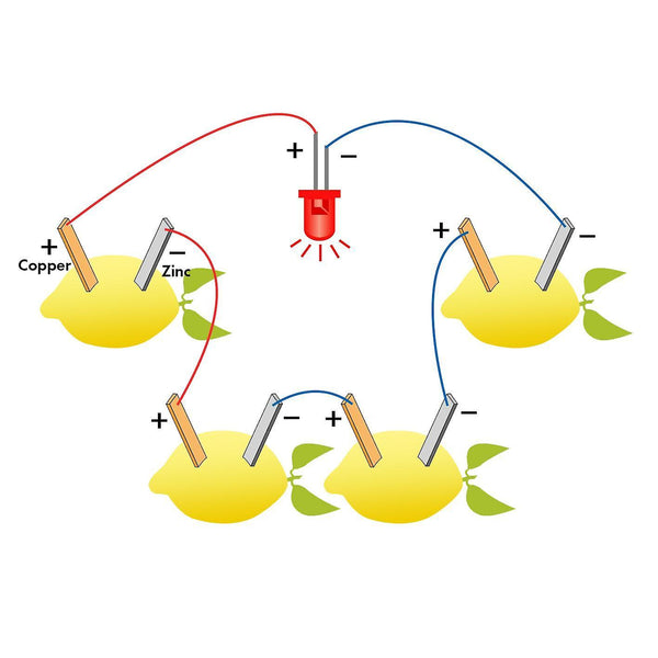 For Fruit Battery Light Diode Science Kit Orange Potato Lemon Battery Physics Teaching Experiment WS33792