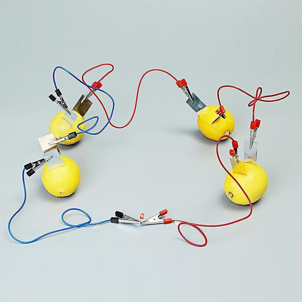 For Fruit Battery Light Diode Science Kit Orange Potato Lemon Battery Physics Teaching Experiment WS33792