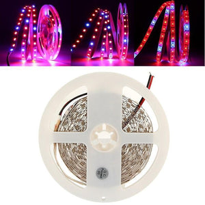 For DC12V Red:Blue 3:1 4:1 5:1 5M SMD5050 Non-Waterproof LED Strip Grow Plant Light WS34476