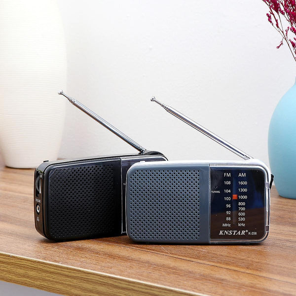 For 88-108MHz FM 530-1600KHz AM 2 Bands Radio Receiver for Elder WS35947