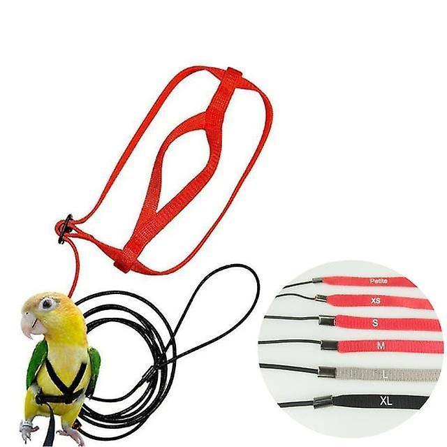 Adjustable Parrots Bird Harness Leash An SM31947