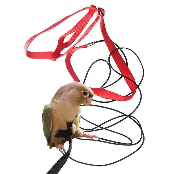 Adjustable Parrots Bird Harness Leash An SM31946