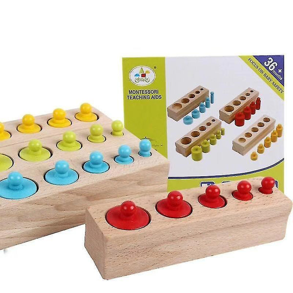 Wooden pegged puzzles montessori educational cylinders for children 3+ cylinder multicolor