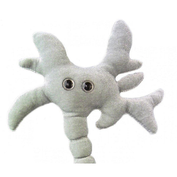 Board games giant microbes - brain cell neuron