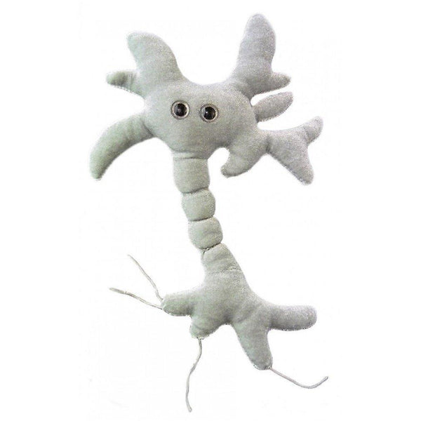 Board games giant microbes - brain cell neuron