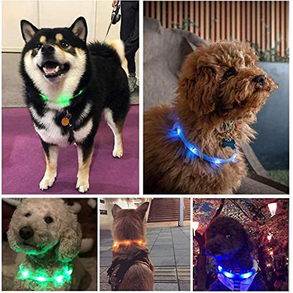 Led Dog Collar Usb Rechargeable Glowing Pet Dog Collar For Night Safety Fashion Light Up Collar For Small Medium Large Dogs Pet Collars & Harnesses