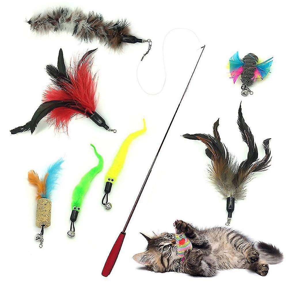 Cat toys cat toys  cat toys  cat toys and kitten  21 rooms image style will be randomly sent