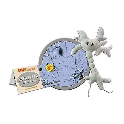 Board games giant microbes - brain cell neuron